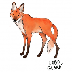 Design sem nome (1)