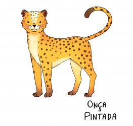 Onça_Final_Aprovado
